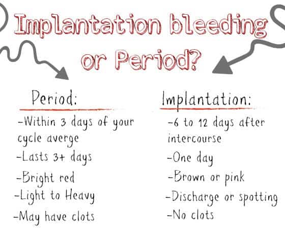 Spotting vs. Period: Learn the Signs