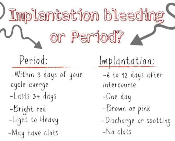 Implantation Bleeding or Period: How Can You Tell the Difference
